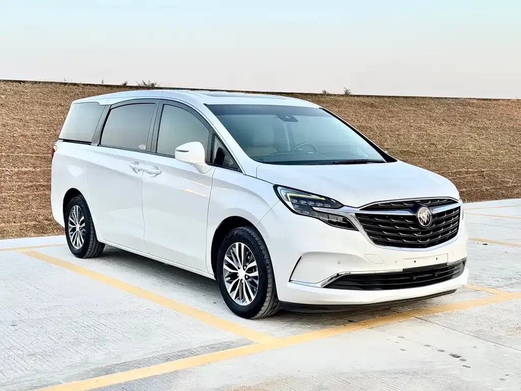 Buick GL8 2021 из CN, фото 4