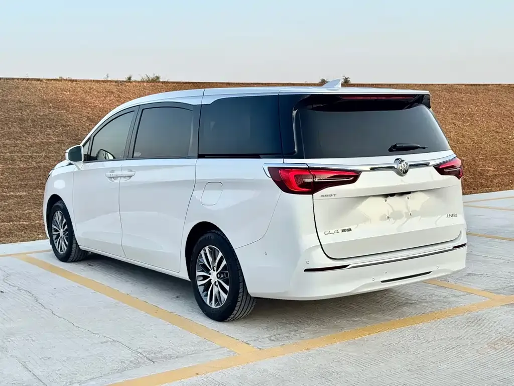 Buick GL8 2021 из CN, фото 9