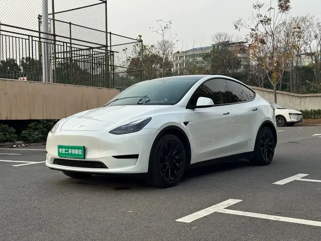 Tesla Model Y 2022 из CN, фото 1