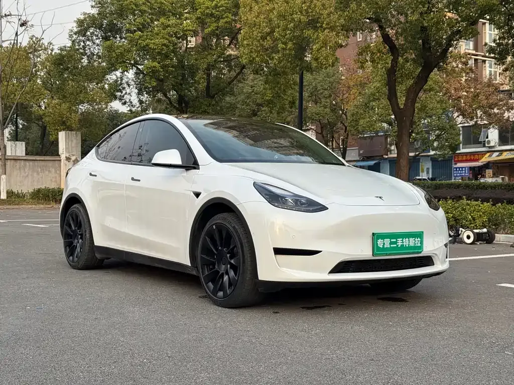 Tesla Model Y 2022 из CN, фото 9