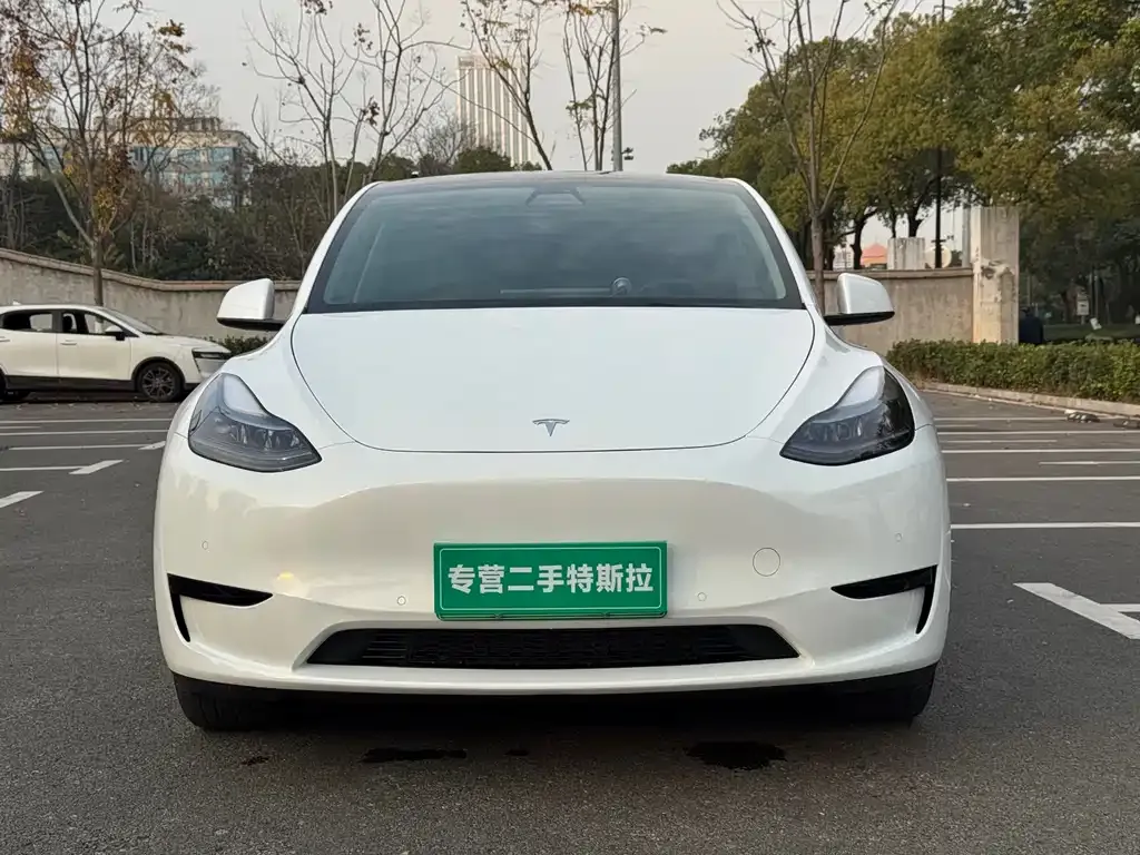 Tesla Model Y 2022 из CN, фото 4