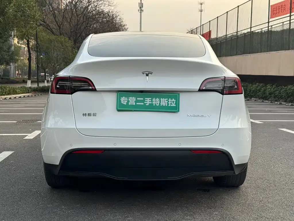 Tesla Model Y 2022 из CN, фото 3