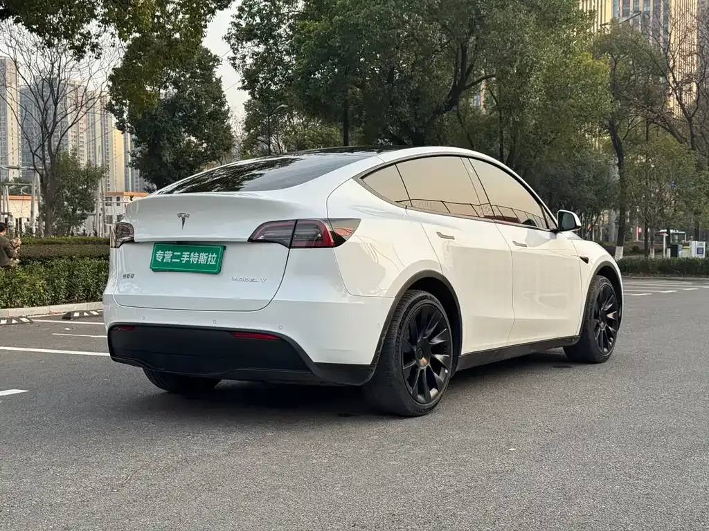 Tesla Model Y 2022 из CN, фото 8