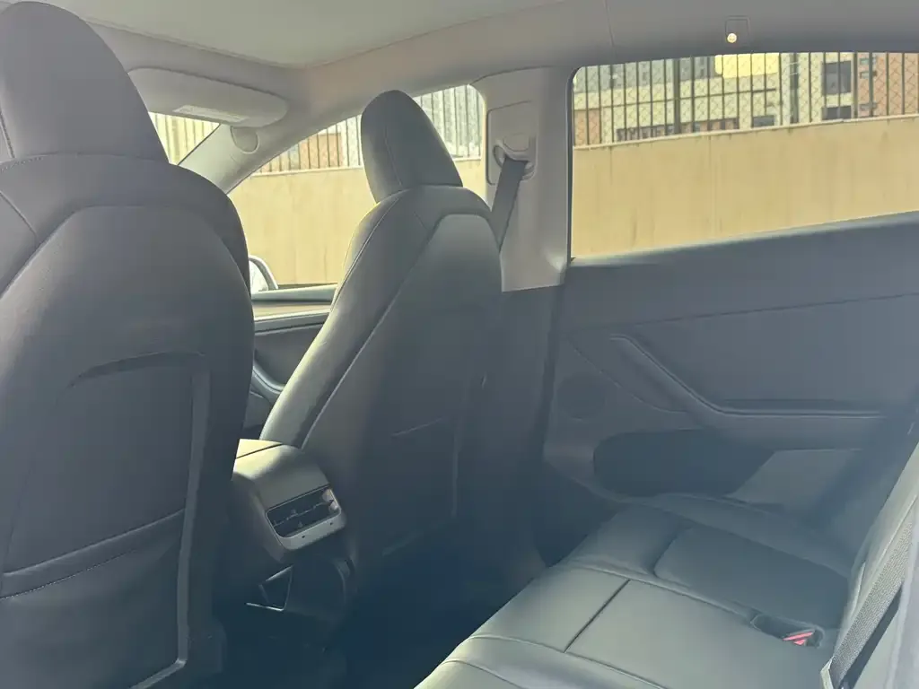 Tesla Model Y 2022 из CN, фото 6