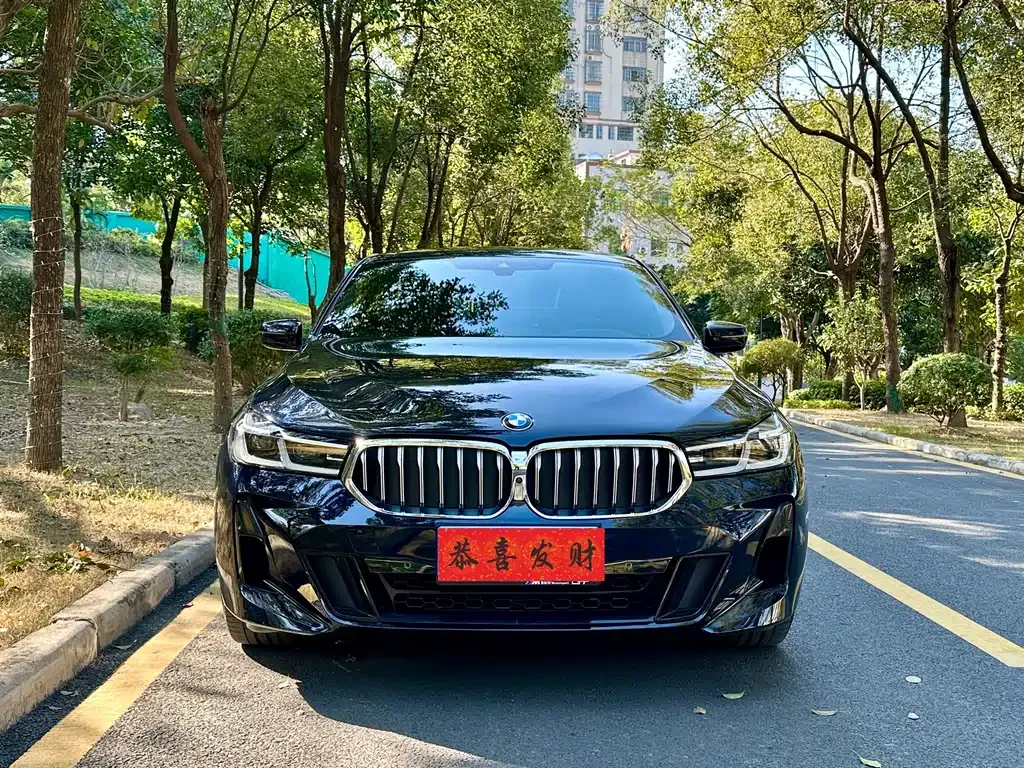 BMW 6 Series GT 2022 из CN, фото 7