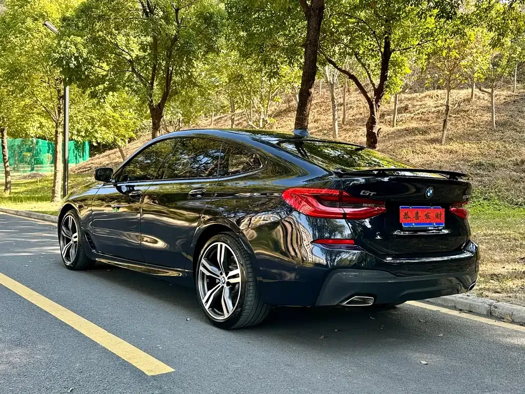 BMW 6 Series GT 2022 из CN, фото 4