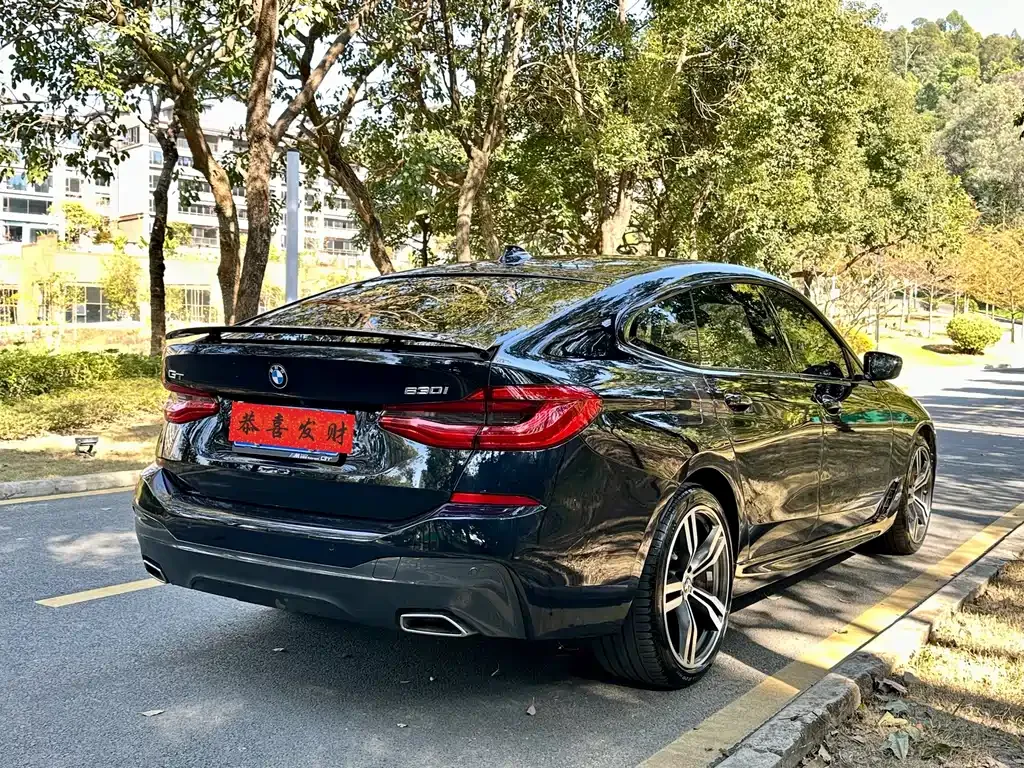 BMW 6 Series GT 2022 из CN, фото 9