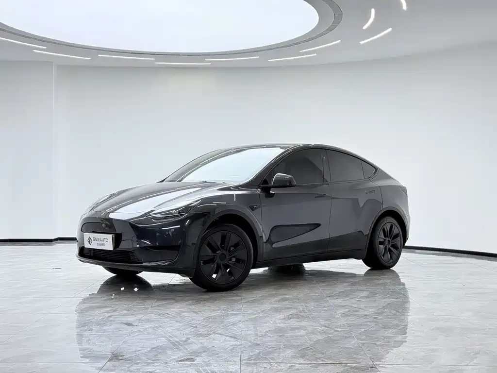 Tesla Model Y 2025 из CN, фото 1