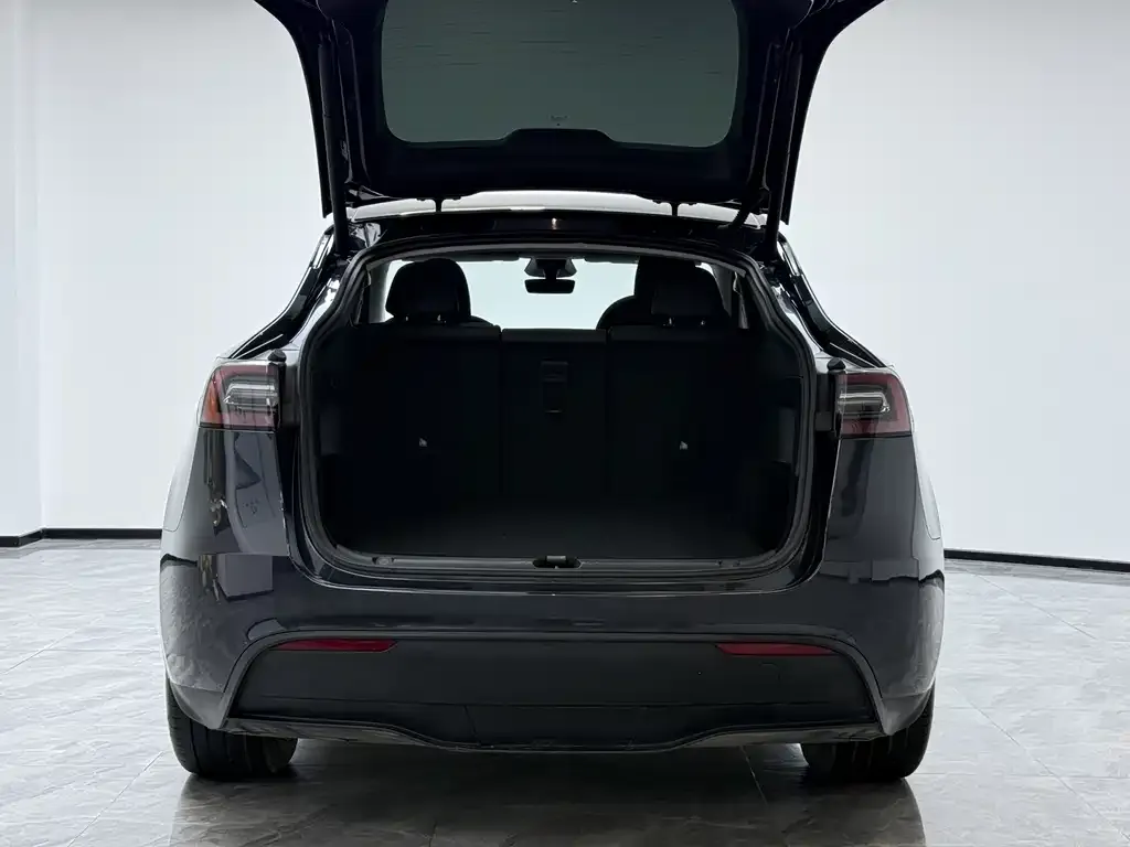 Tesla Model Y 2025 из CN, фото 3