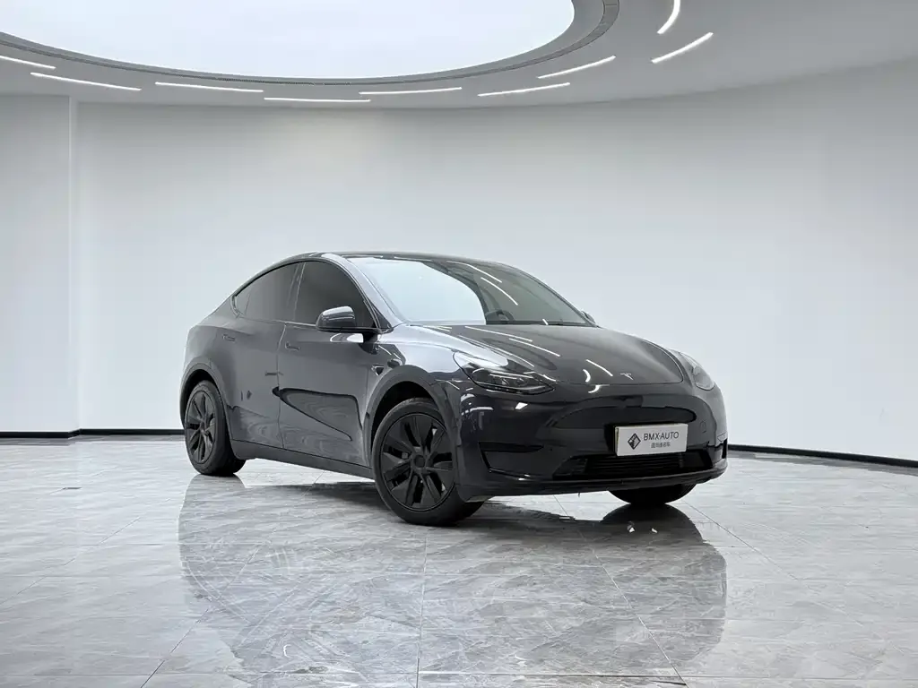 Tesla Model Y 2025 из CN, фото 7