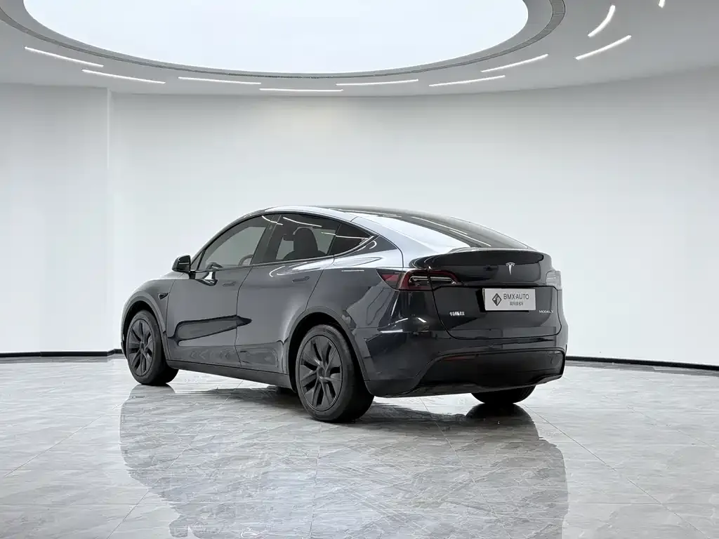 Tesla Model Y 2025 из CN, фото 2