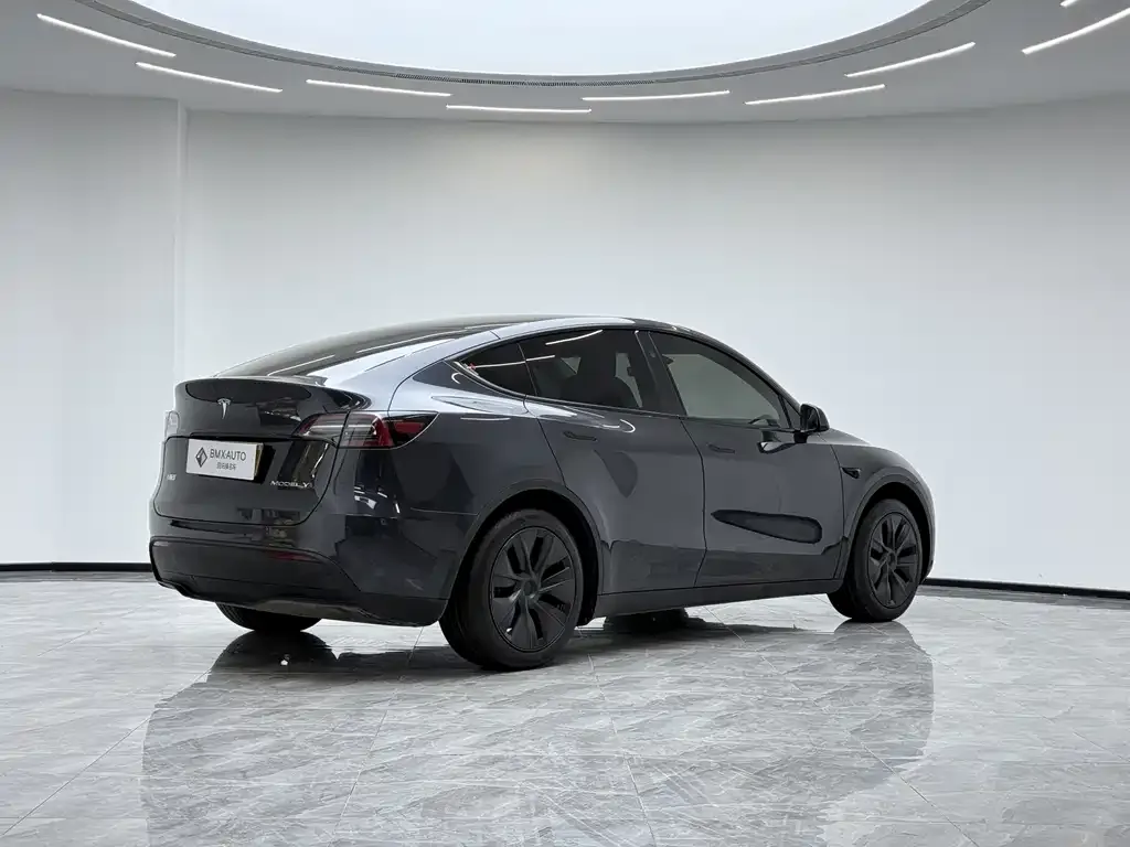 Tesla Model Y 2025 из CN, фото 6