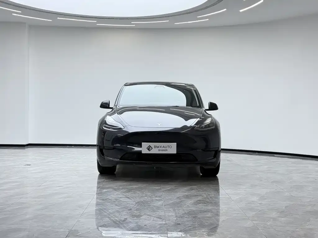 Tesla Model Y 2025 из CN, фото 4