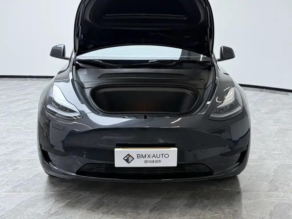 Tesla Model Y 2025 из CN, фото 9
