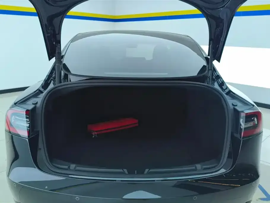 Tesla Model 3 2023 из CN, фото 6
