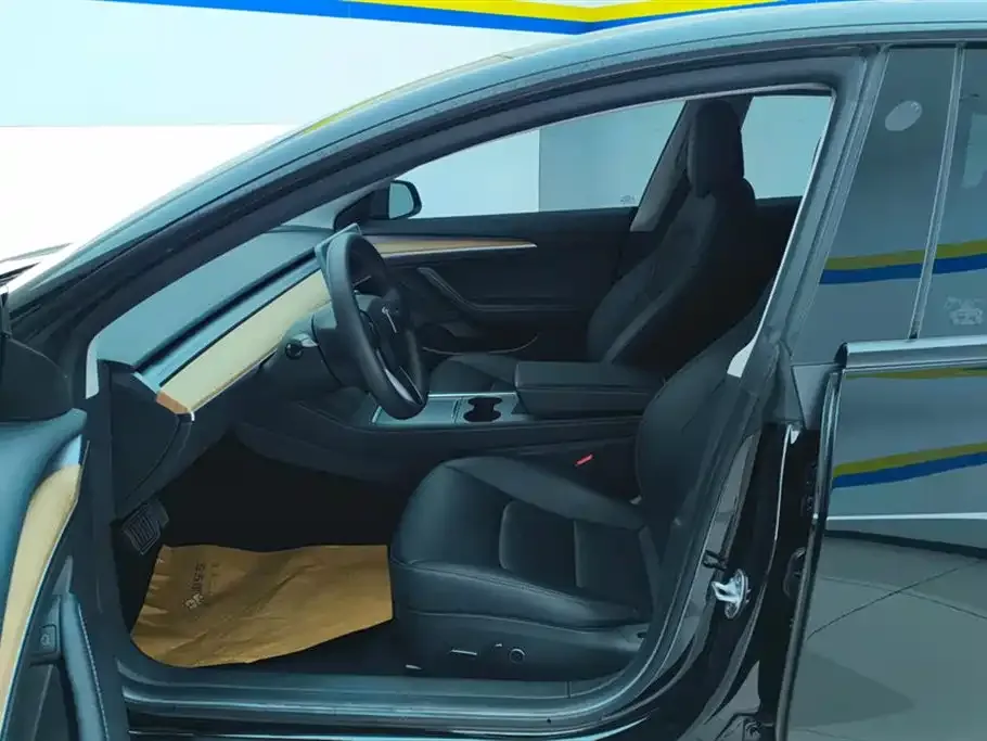 Tesla Model 3 2023 из CN, фото 3