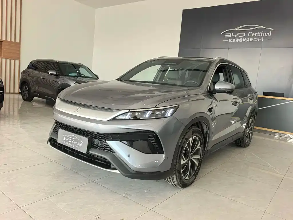 BYD Pro New Energy 2025 из CN, фото 1