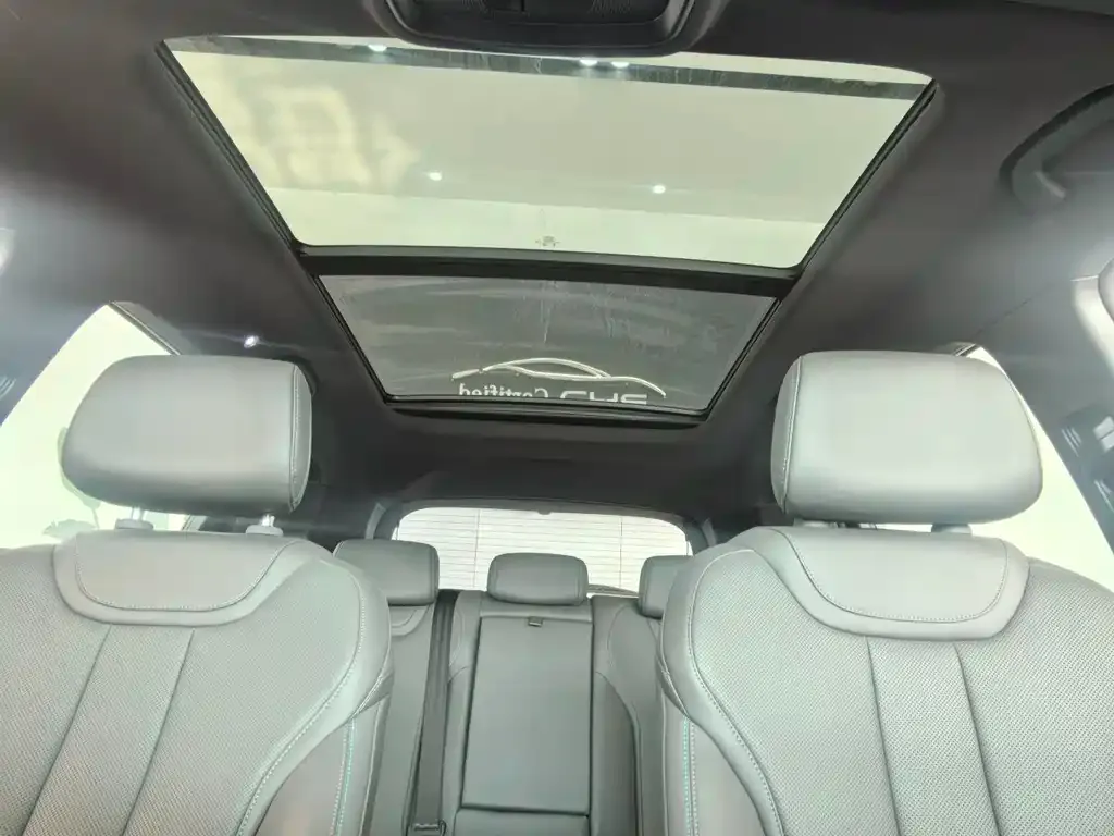 BYD Pro New Energy 2025 из CN, фото 2
