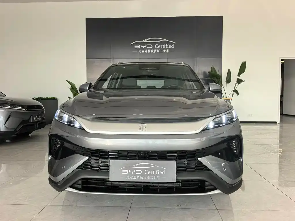 BYD Pro New Energy 2025 из CN, фото 6