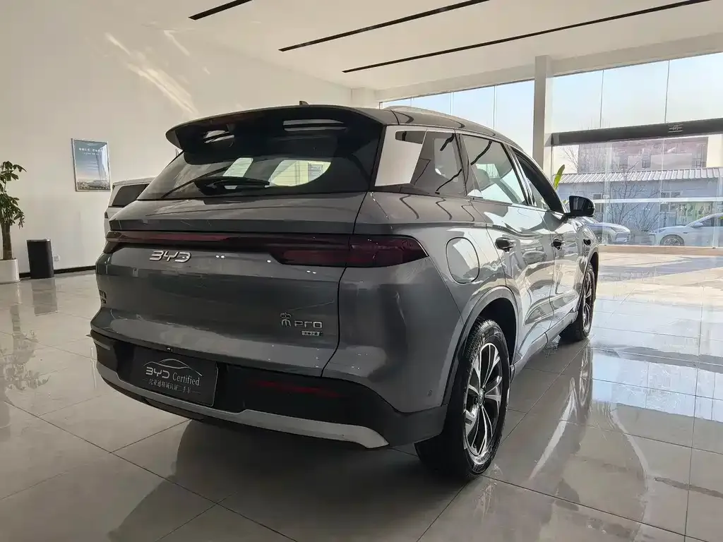 BYD Pro New Energy 2025 из CN, фото 4