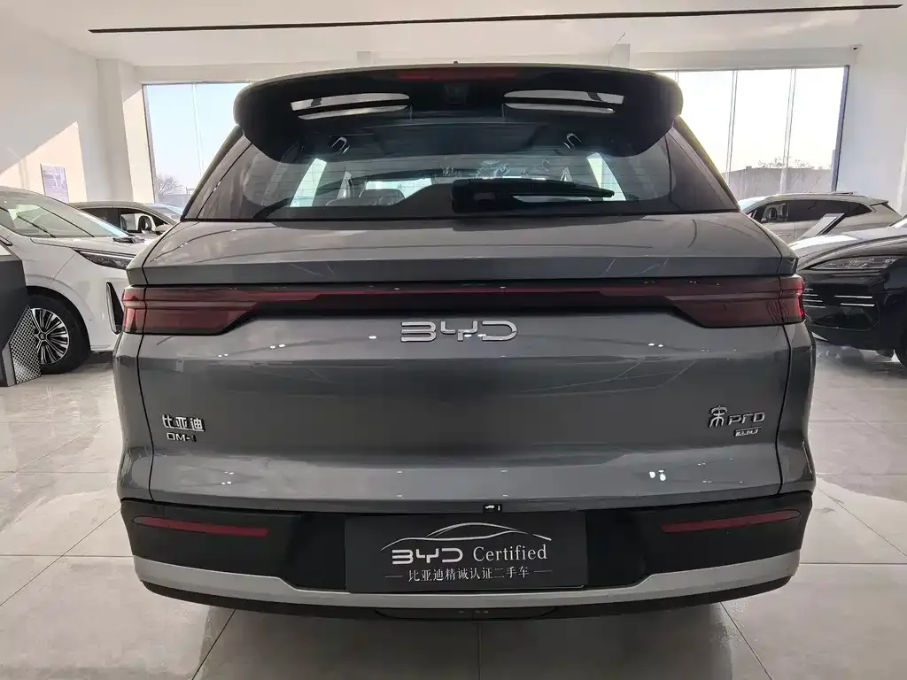 BYD Pro New Energy 2025 из CN, фото 3