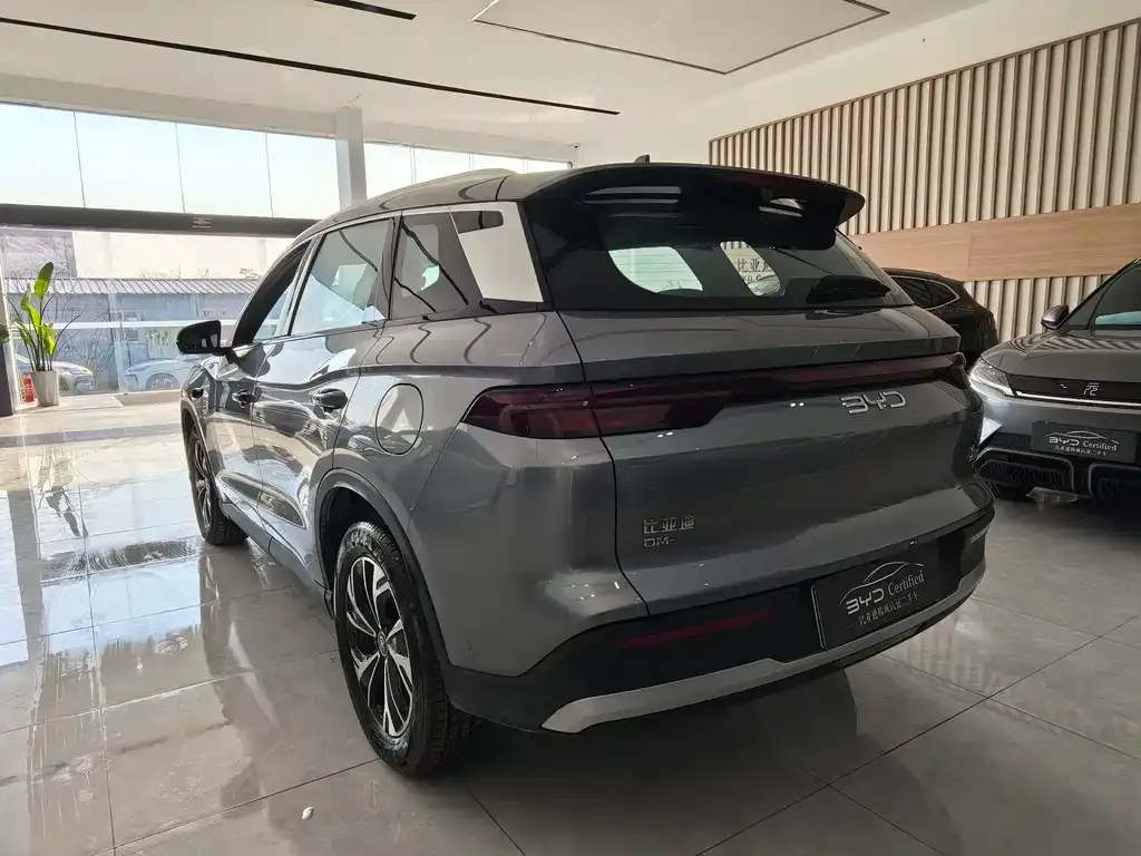 BYD Pro New Energy 2025 из CN, фото 5