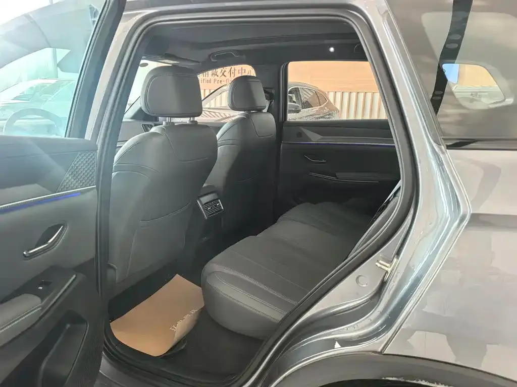 BYD Pro New Energy 2025 из CN, фото 7