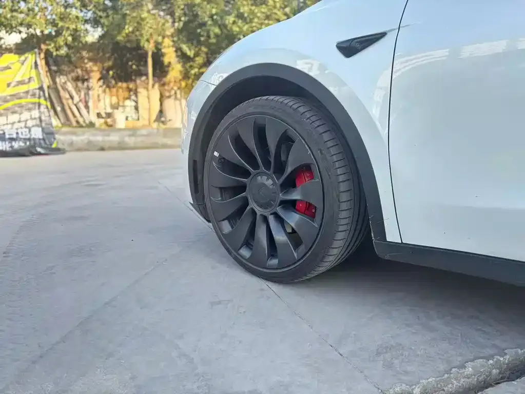 Tesla Model Y 2022 из CN, фото 7