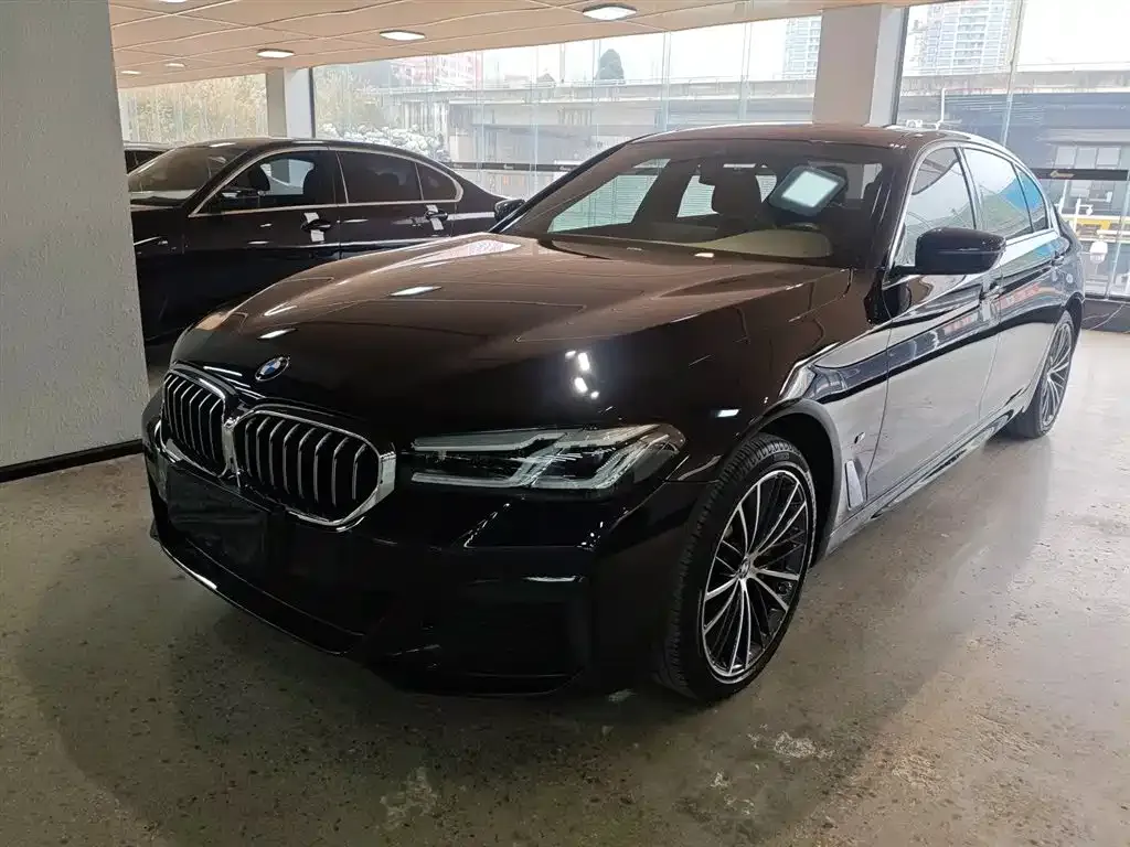 BMW 5 Series 2023 из CN, фото 3