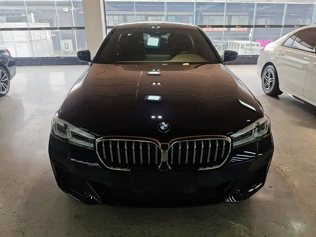 BMW 5 Series 2023 из CN, фото 2
