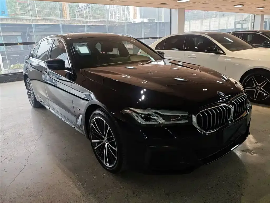 BMW 5 Series 2023 из CN, фото 5
