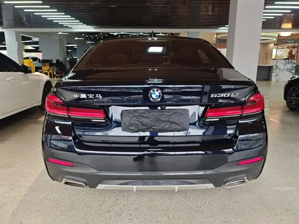 BMW 5 Series 2023 из CN, фото 6