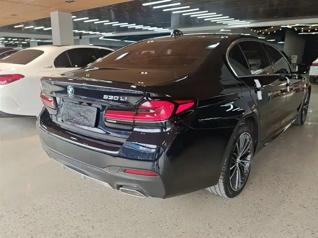 BMW 5 Series 2023 из CN, фото 7