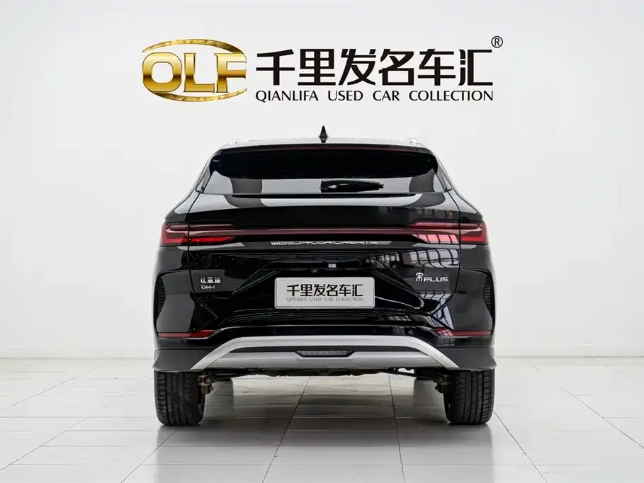 BYD PLUS New Energy — фото 6