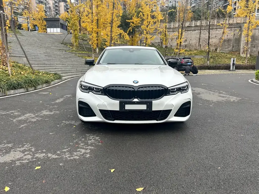 BMW 3 Series 2021 из CN, фото 6