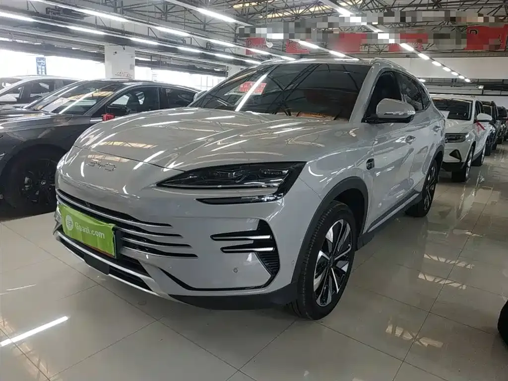 BYD PLUS New Energy 2025 из CN, фото 1