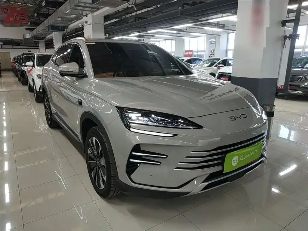 BYD PLUS New Energy 2025 из CN, фото 6