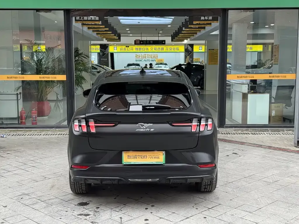 Ford Mustang Mach-E 2024 из CN, фото 6