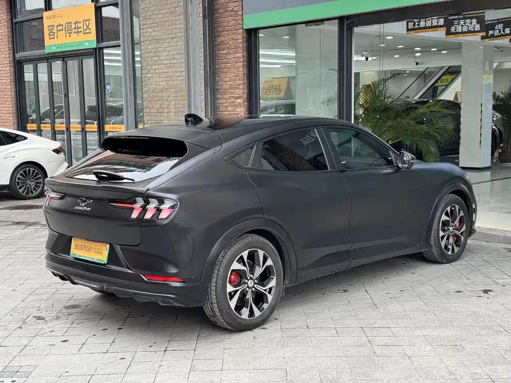 Ford Mustang Mach-E 2024 из CN, фото 8