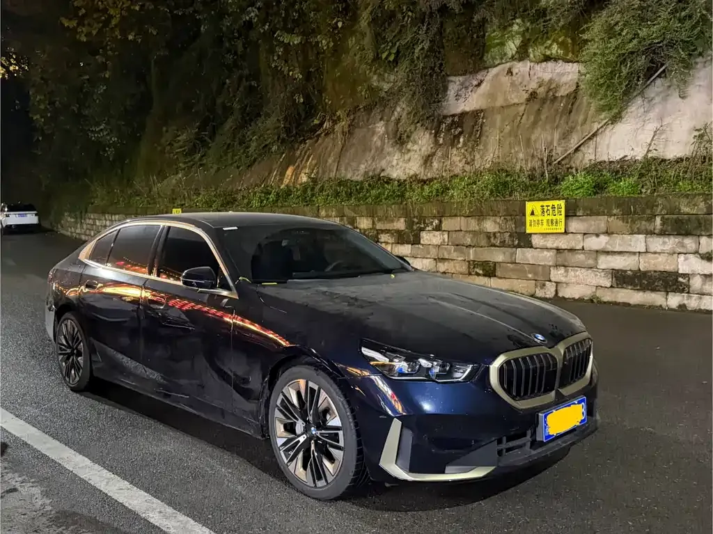 BMW 5 Series 2024 из CN, фото 9