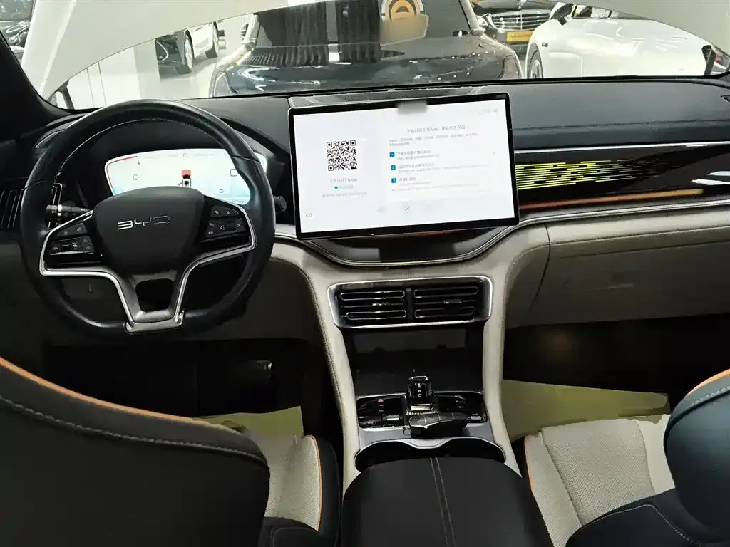 BYD PLUS New Energy 2023 из CN, фото 10