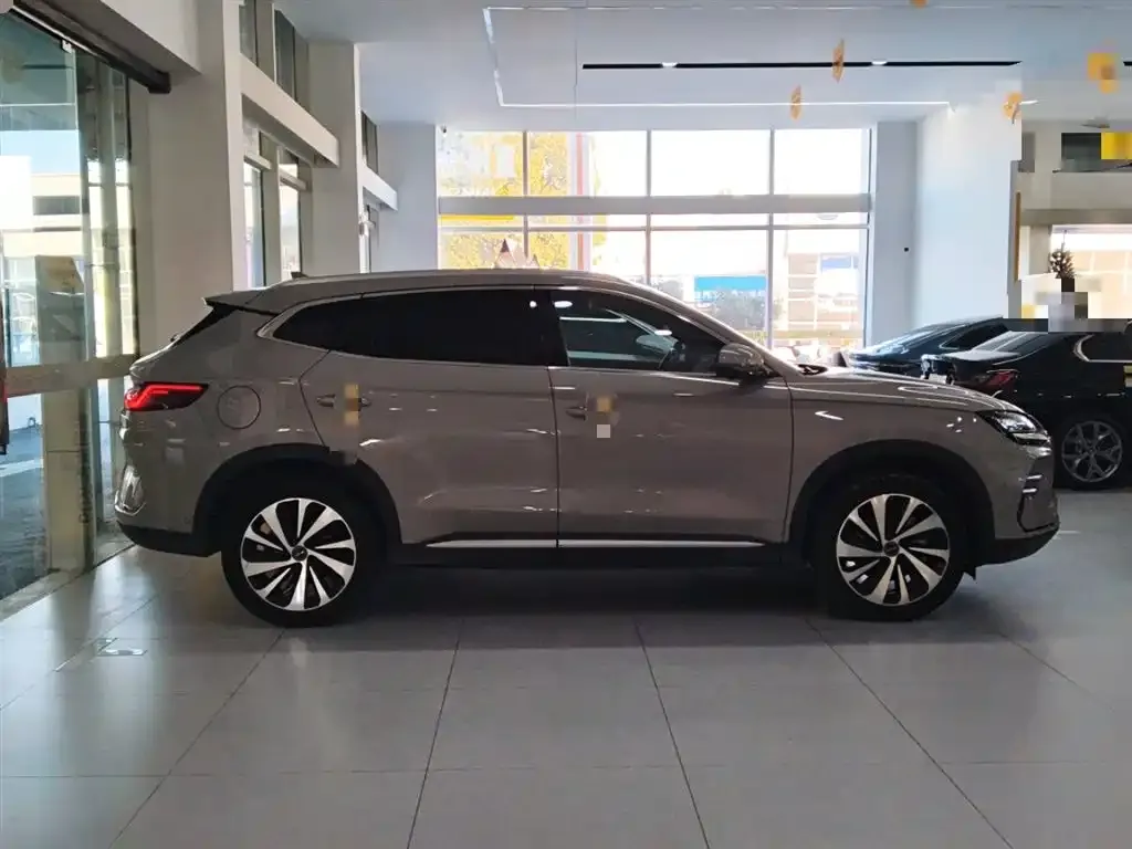 BYD PLUS New Energy 2023 из CN, фото 3