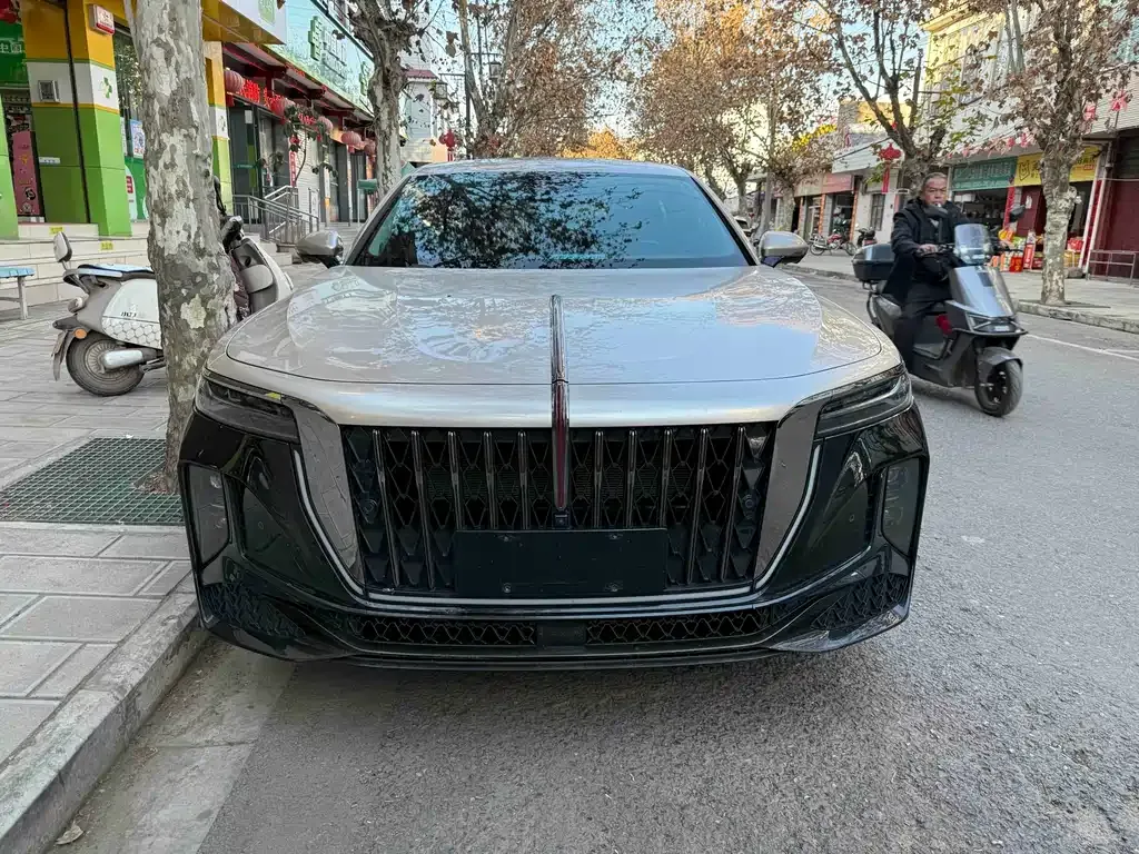 Hongqi H9 2024 из CN, фото 6
