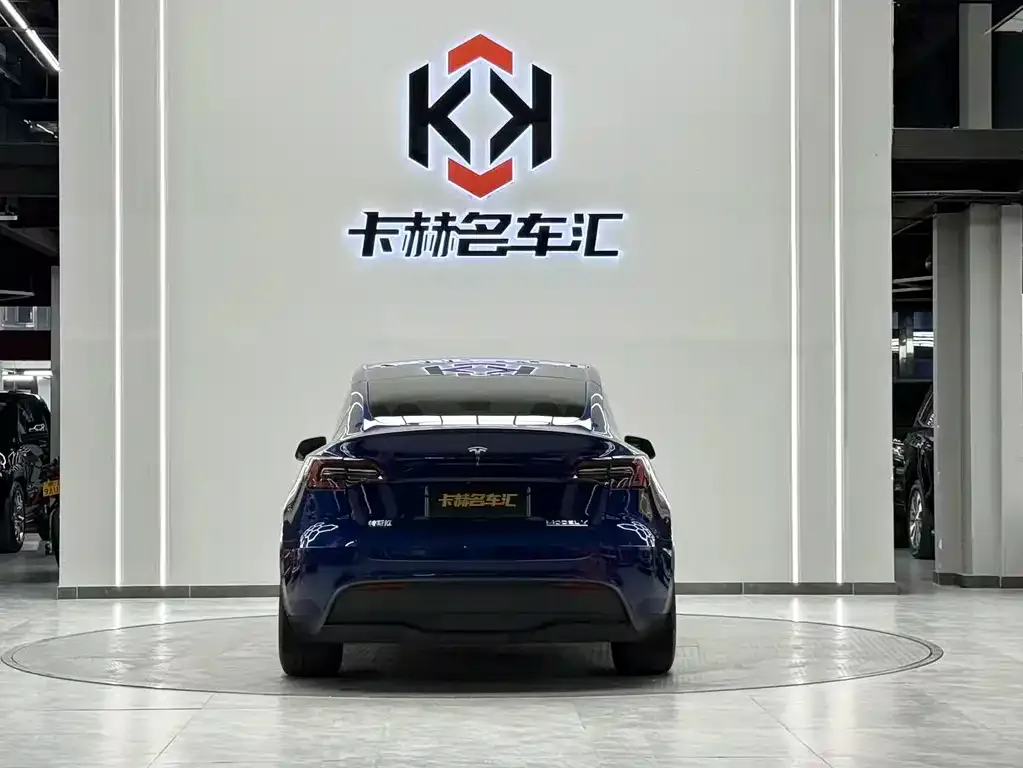 Tesla Model Y 2023 из CN, фото 2