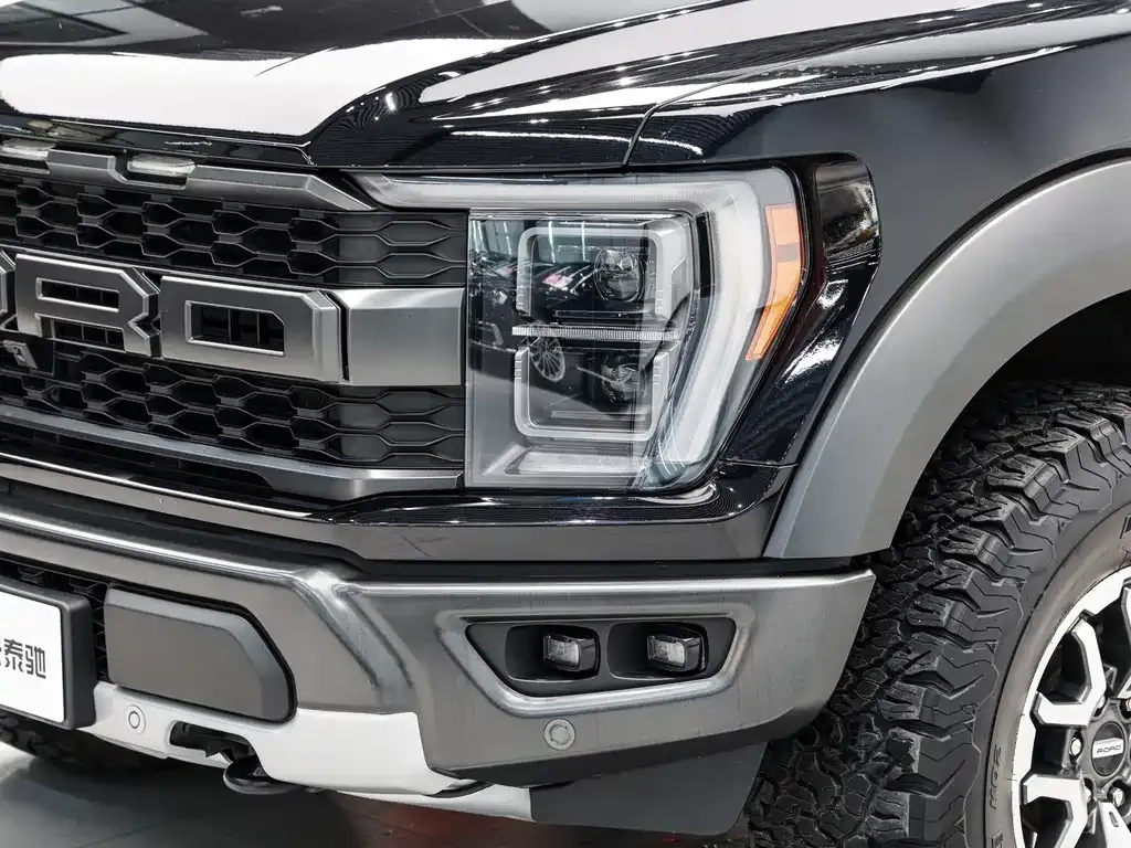 Ford F-150 Raptor 2023 из CN, фото 10