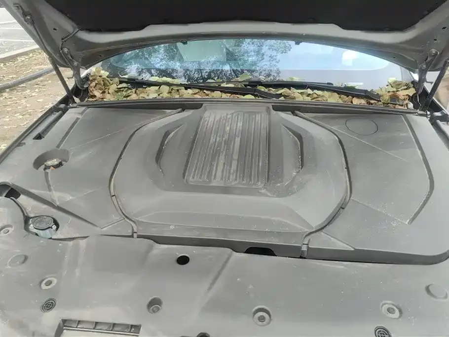BYD Qin PLUS 2024 из CN, фото 4
