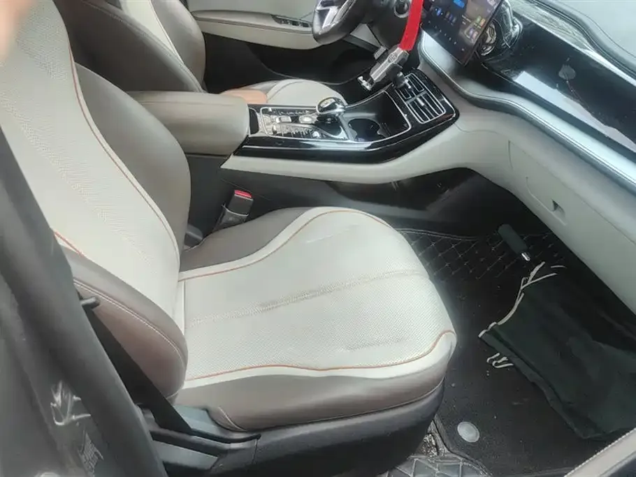 BYD Qin PLUS 2024 из CN, фото 5