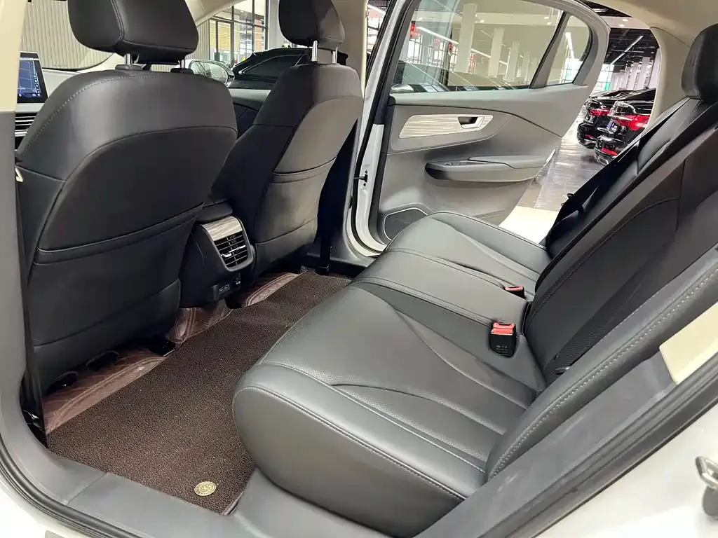 Hongqi E-QM5 2024 из CN, фото 6