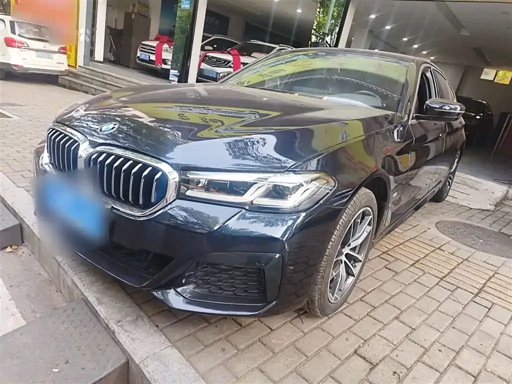 BMW 5 Series 2022 из CN, фото 4