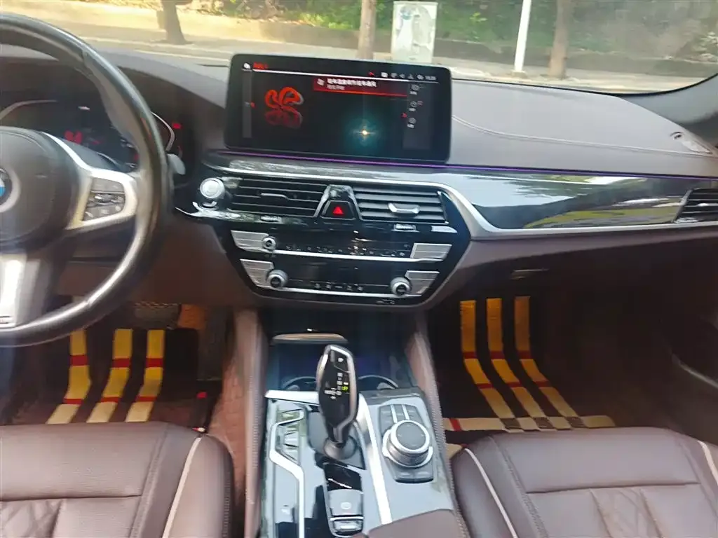 BMW 5 Series 2022 из CN, фото 5